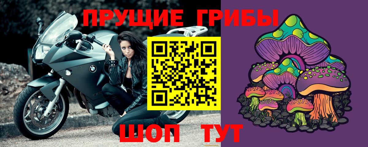 Псилоцибиновые грибы мицелий Красный Сулин