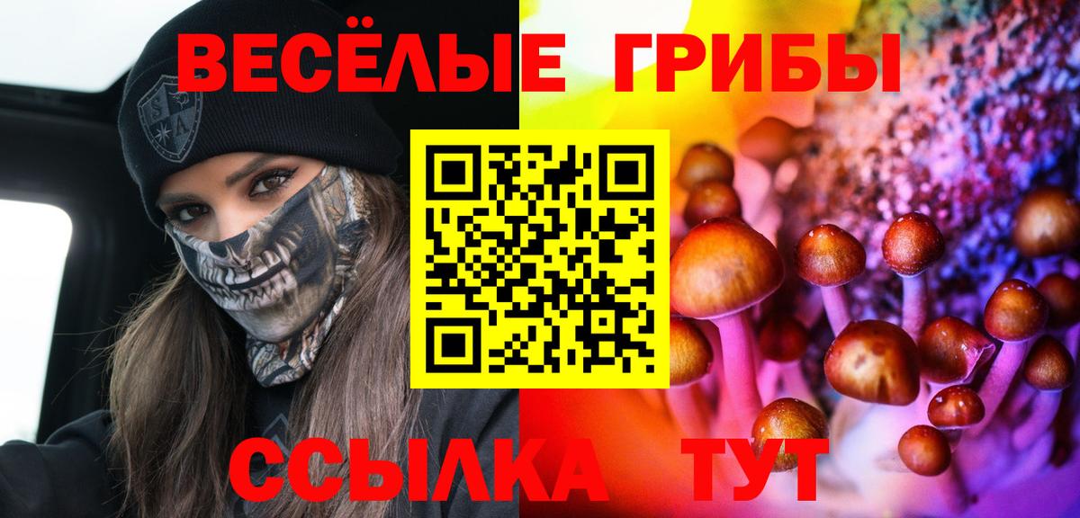 купить наркотик  Галлюциногенные грибы GOLDEN TEACHER  Галлюциногенные грибы MAGIC MUSHROOMS  Вход с VPN  Красный Сулин 